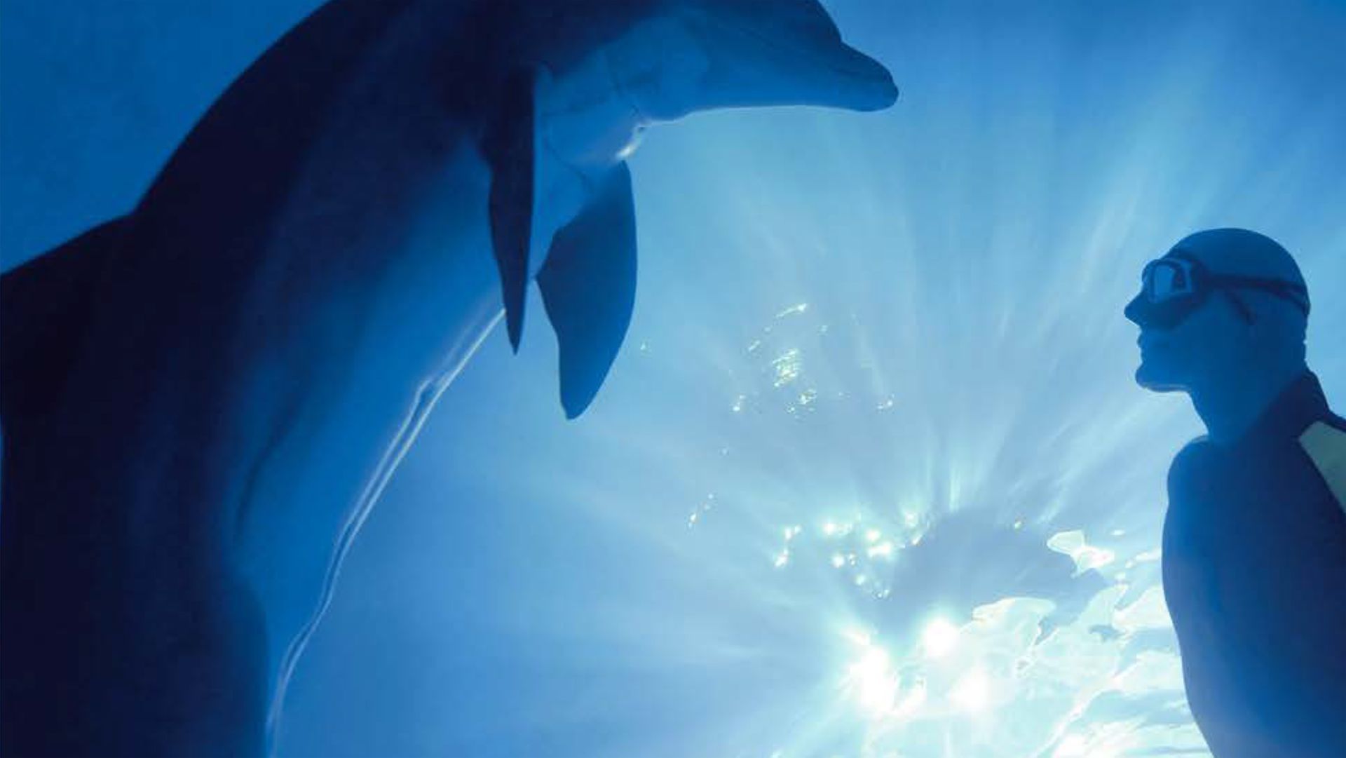 Breath Training in the Corona Crisis™